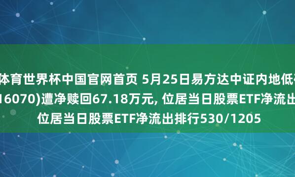 B体育世界杯中国官网首页 5月25日易方达中证内地低碳经济主题ETF(516070)遭净赎回67.18万元, 位居当日股票ETF净流出排行530/1205