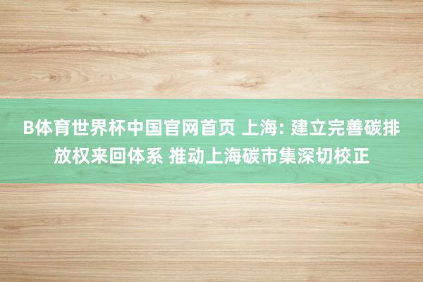 B体育世界杯中国官网首页 上海: 建立完善碳排放权来回体系 推动上海碳市集深切校正