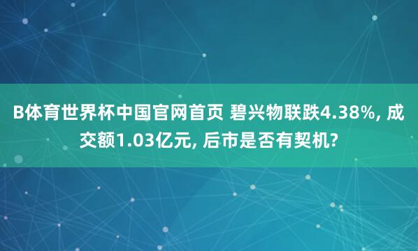 B体育世界杯中国官网首页 碧兴物联跌4.38%, 成交额1.03亿元, 后市是否有契机?