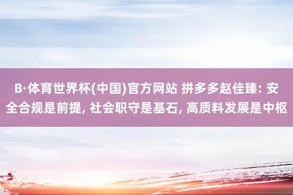 B·体育世界杯(中国)官方网站 拼多多赵佳臻: 安全合规是前提, 社会职守是基石, 高质料发展是中枢