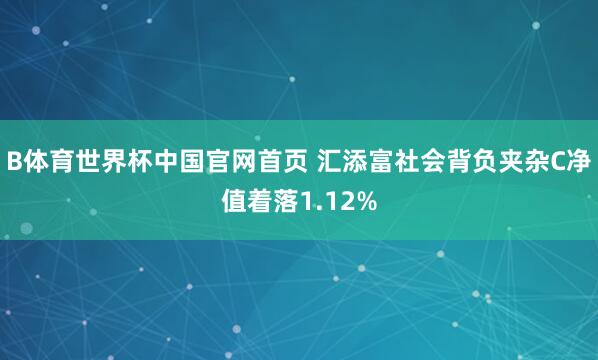 B体育世界杯中国官网首页 汇添富社会背负夹杂C净值着落1.12%