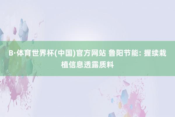 B·体育世界杯(中国)官方网站 鲁阳节能: 握续栽植信息透露质料