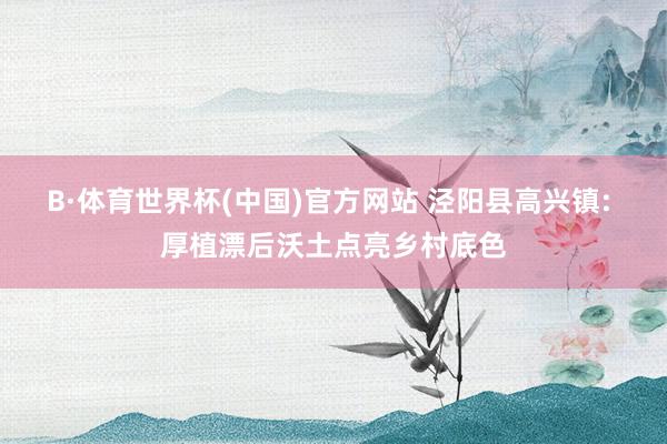 B·体育世界杯(中国)官方网站 泾阳县高兴镇: 厚植漂后沃土点亮乡村底色