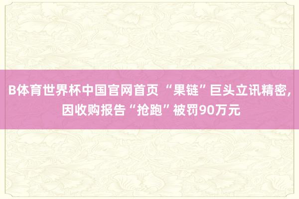 B体育世界杯中国官网首页 “果链”巨头立讯精密, 因收购报告“抢跑”被罚90万元