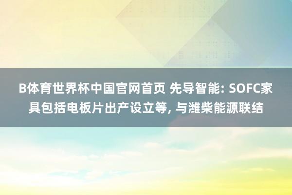 B体育世界杯中国官网首页 先导智能: SOFC家具包括电板片出产设立等, 与潍柴能源联结