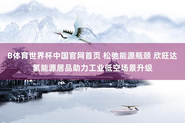 B体育世界杯中国官网首页 松弛能源瓶颈 欣旺达氢能源居品助力工业低空场景升级