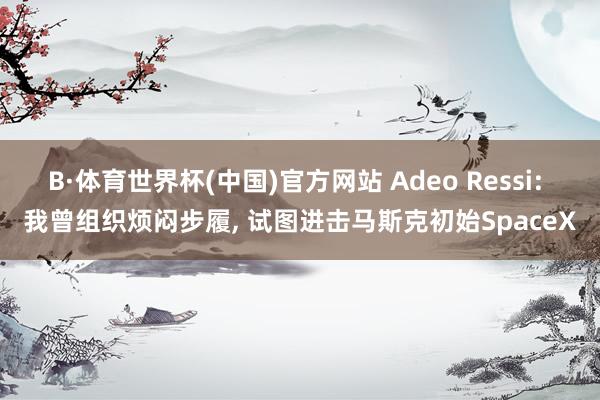 B·体育世界杯(中国)官方网站 Adeo Ressi: 我曾组织烦闷步履， 试图进击马斯克初始SpaceX