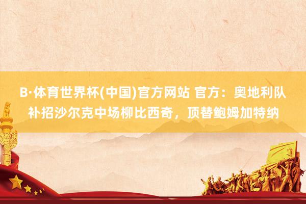 B·体育世界杯(中国)官方网站 官方：奥地利队补招沙尔克中场柳比西奇，顶替鲍姆加特纳