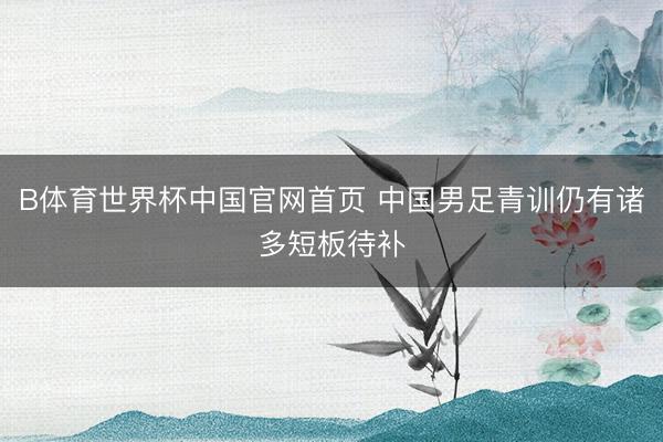 B体育世界杯中国官网首页 中国男足青训仍有诸多短板待补