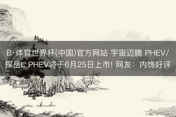 B·体育世界杯(中国)官方网站 宇宙迈腾 PHEV/探岳L PHEV将于6月25日上市! 网友：内饰好评